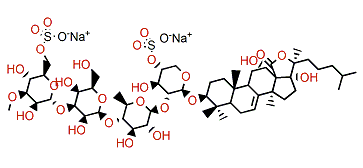 Patagonicoside C